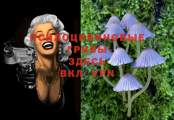 герыч Семикаракорск