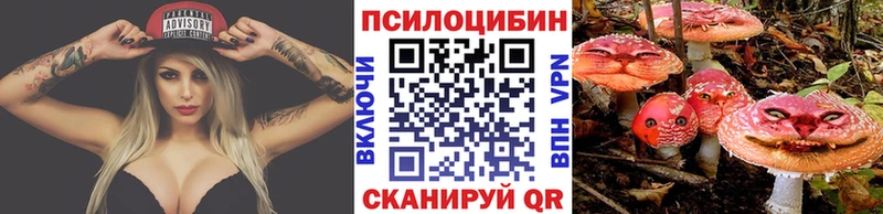 Галлюциногенные грибы прущие грибы  Купить закладки  Юрга 